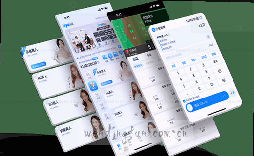 揭秘：问鼎娱乐官网网页版入口，大部分人第一步就错了